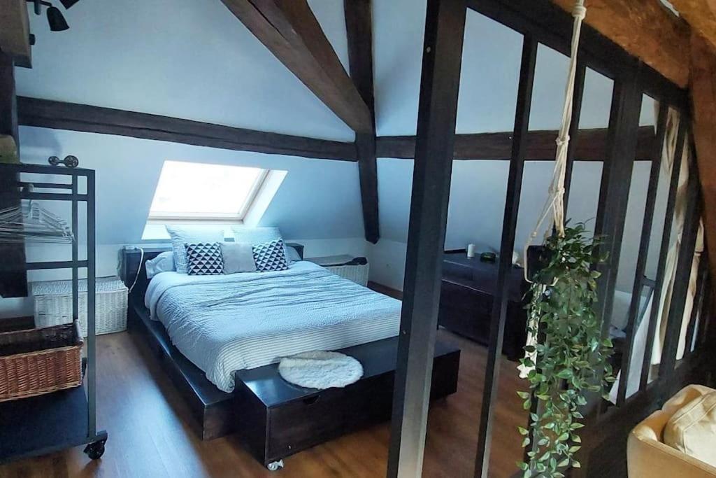 *New*Les Amandines Le Loft* Wifi Apartment Allevard Ngoại thất bức ảnh